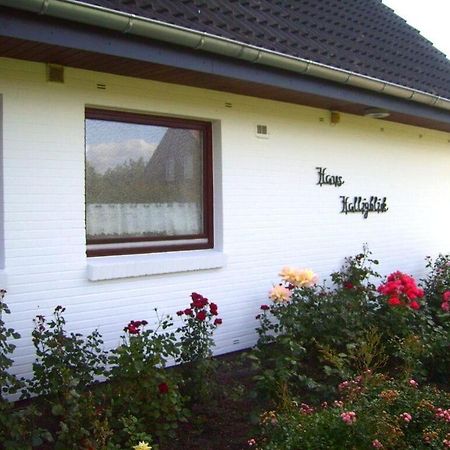 Hooge In The Haus Halligblick Dagebüll Eksteriør billede